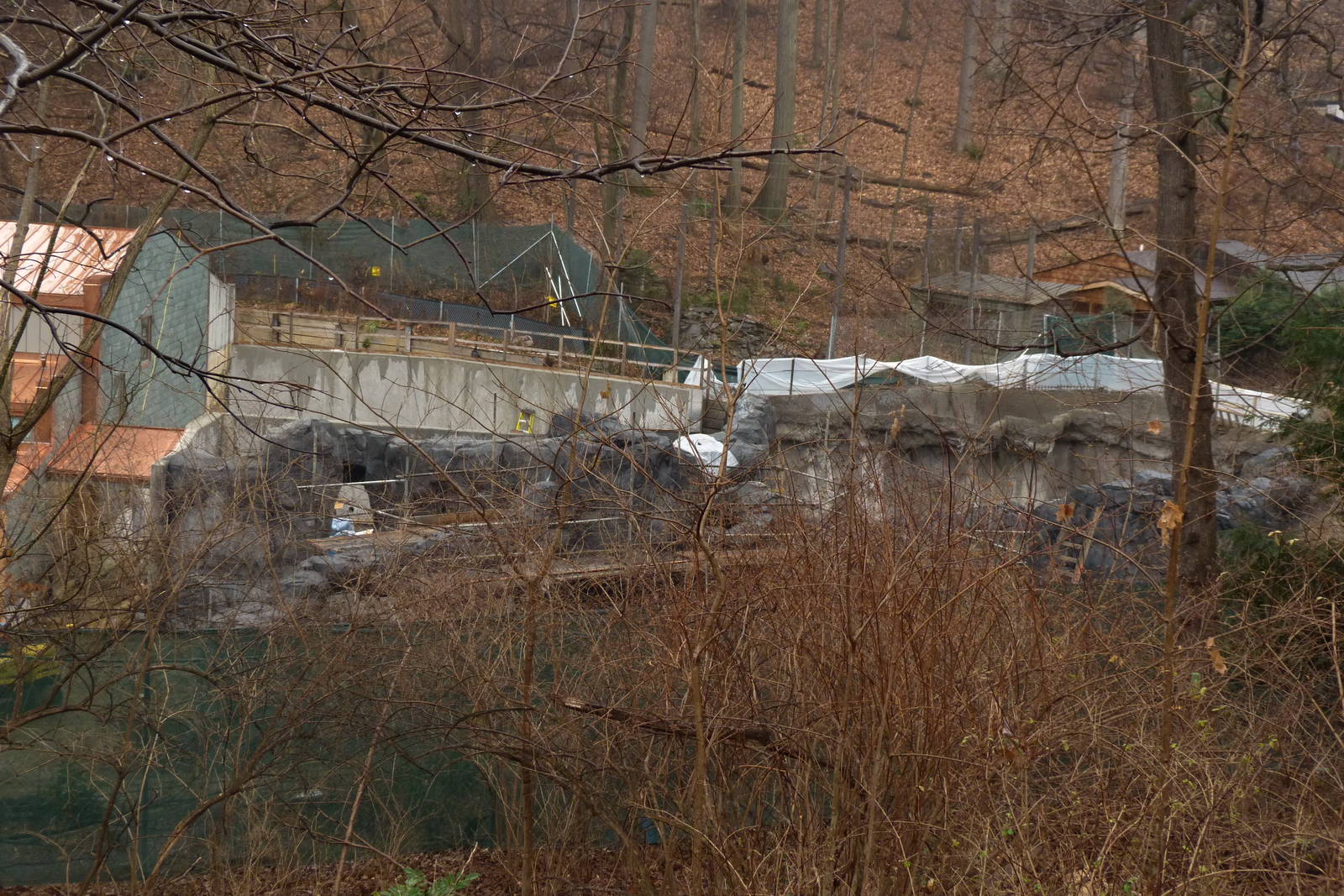 Sea Lion Exhibit Construction