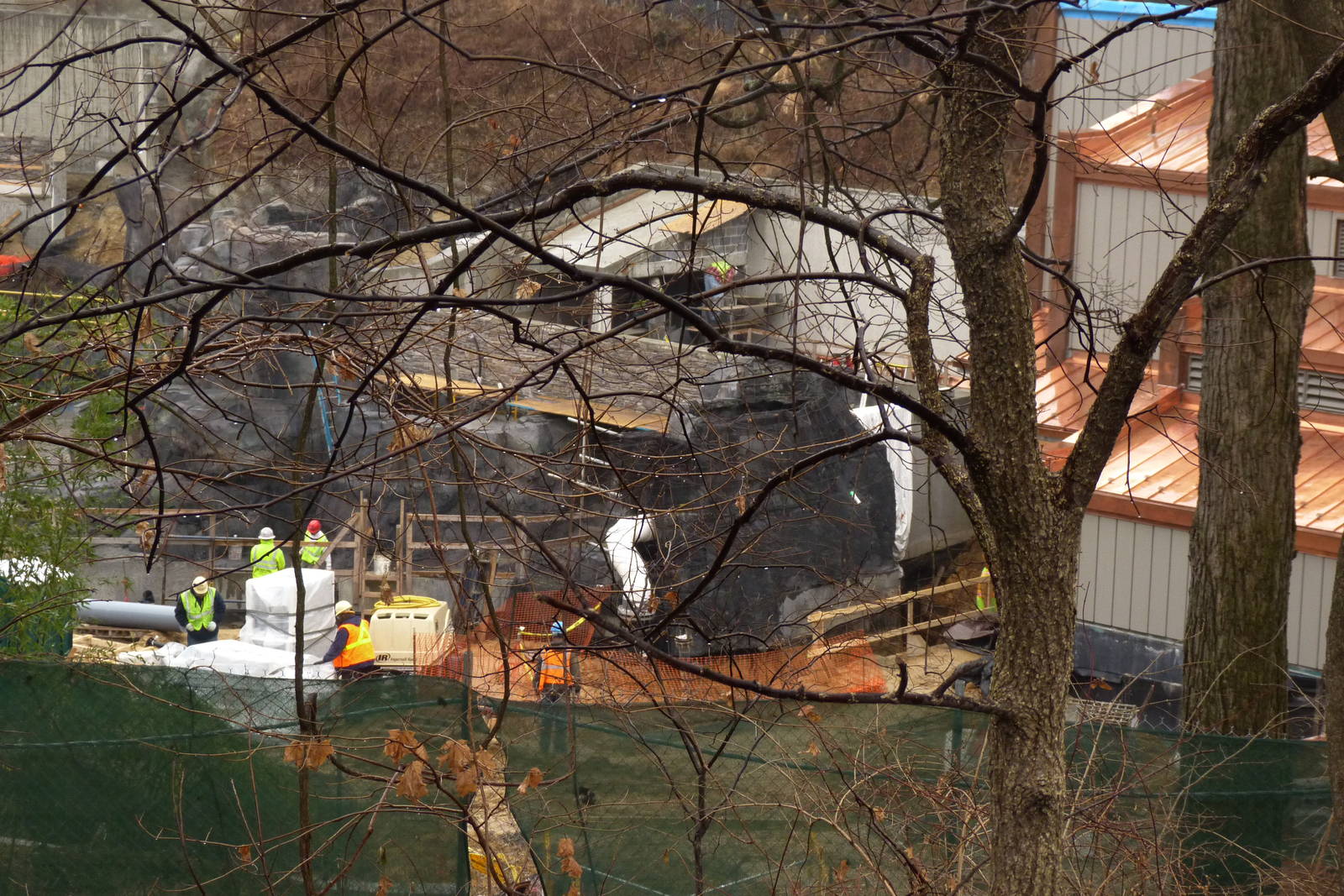 Sea Lion Exhibit Construction