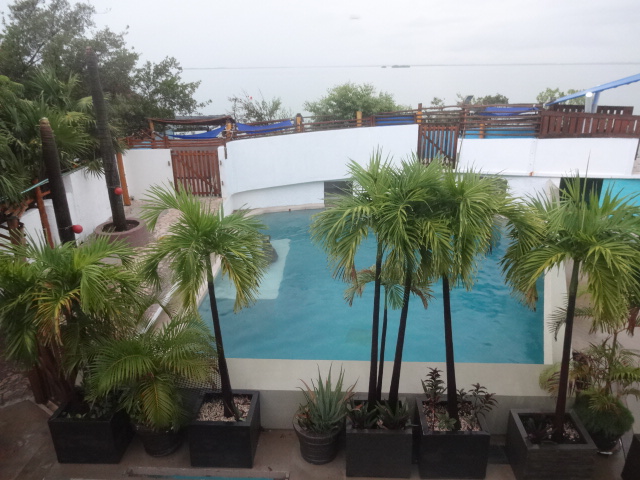 Sea lion exhibit viewing - Acuario interactivo de Cancún