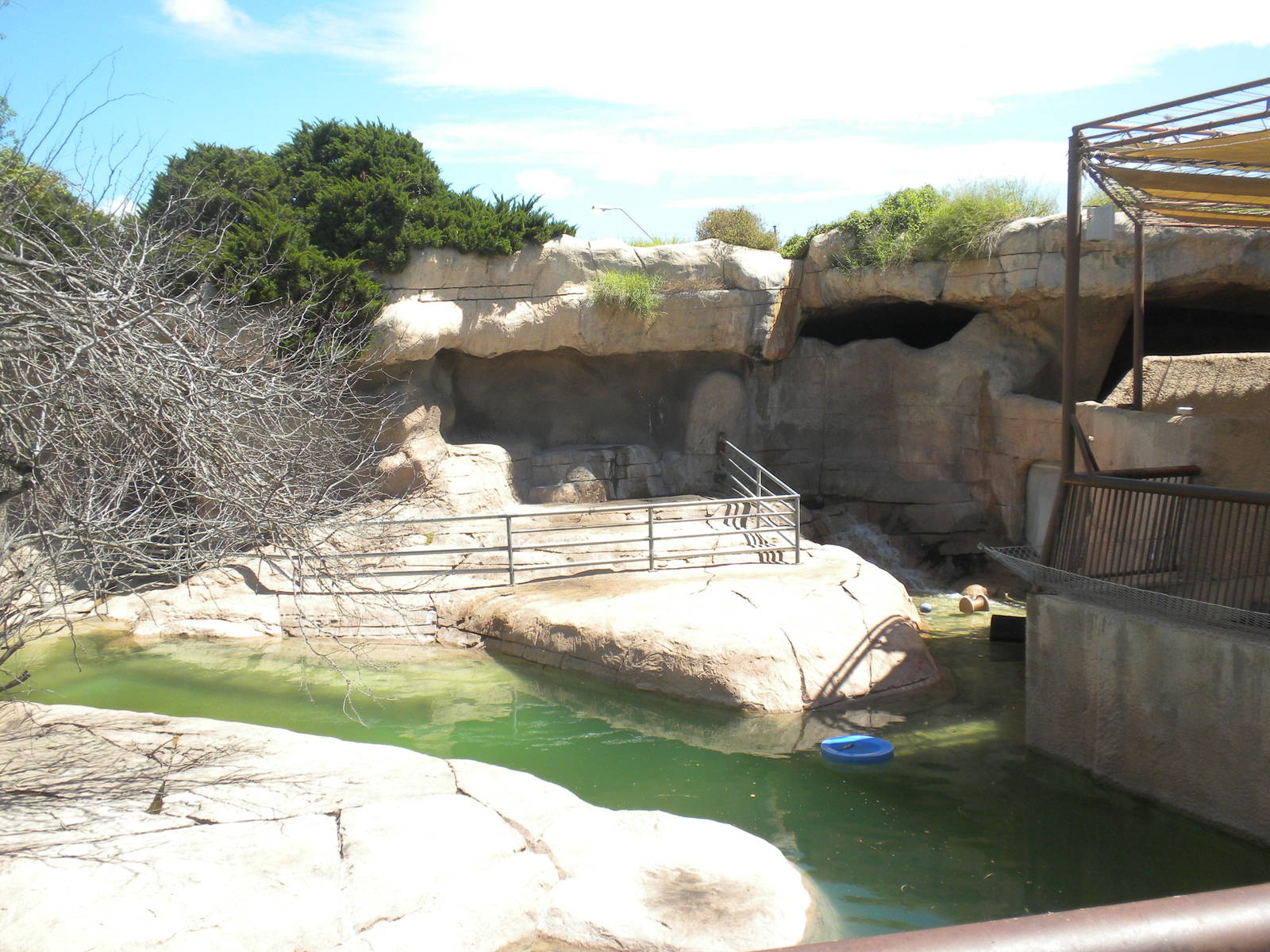 Sea Lion exhibit