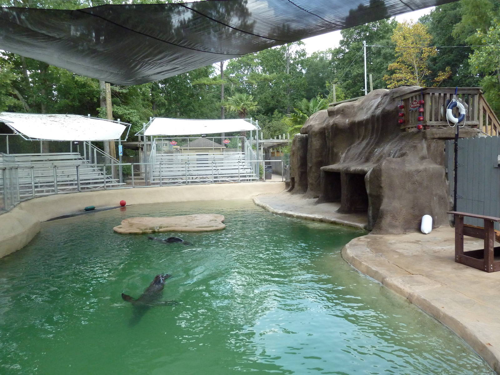 Sea Lion Exhibit