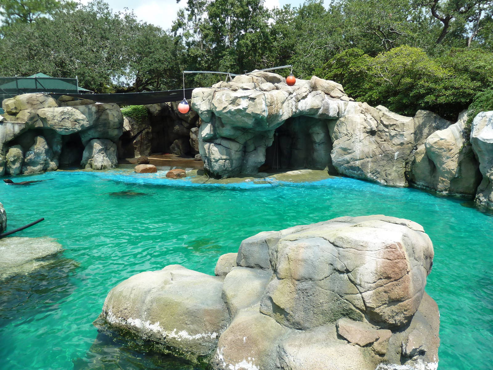 Sea Lion Exhibit