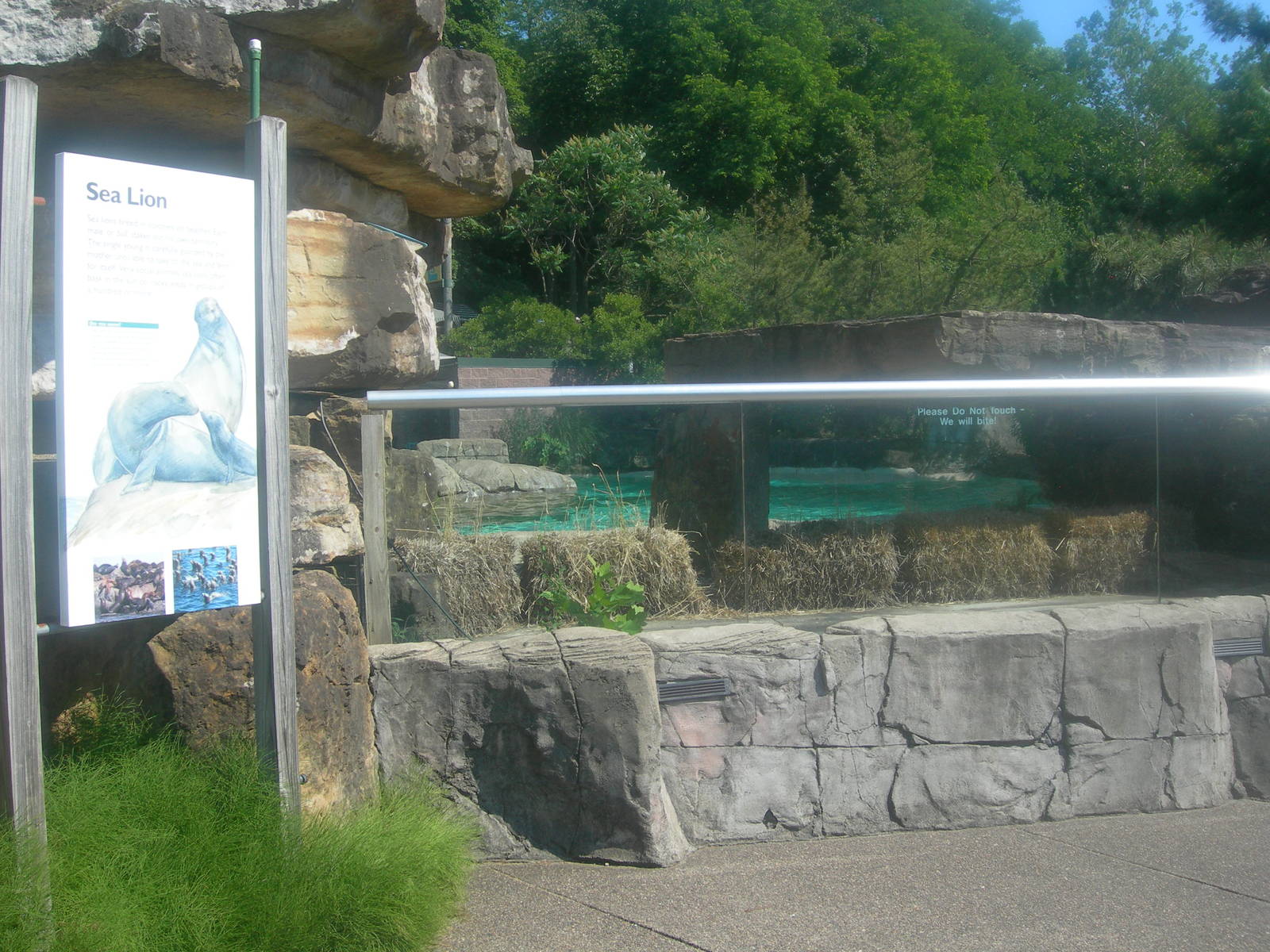 Sea lion Exhibit