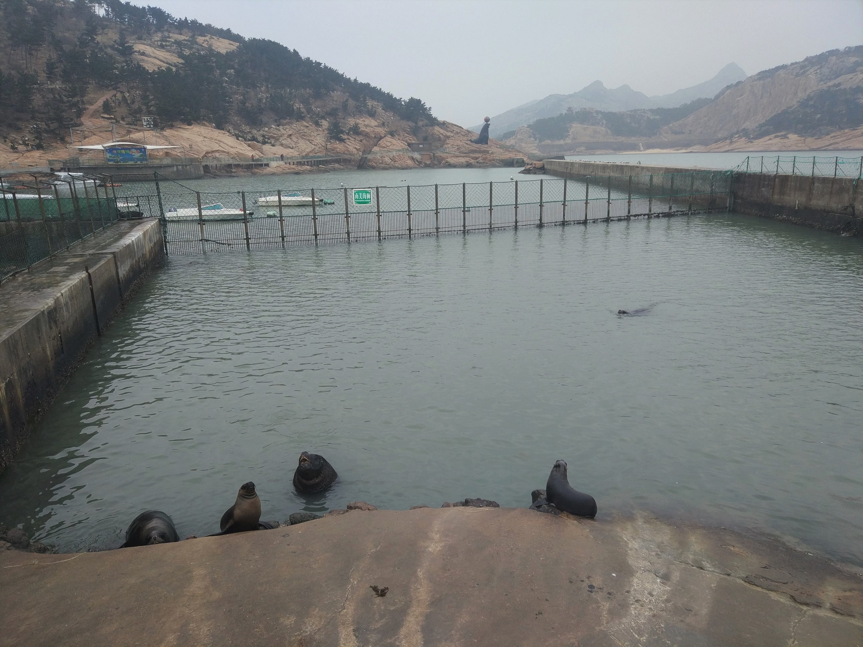 Sea Lion Exhibit