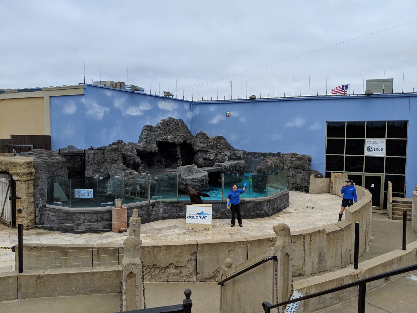 Sea lion habitat outside  (2019)