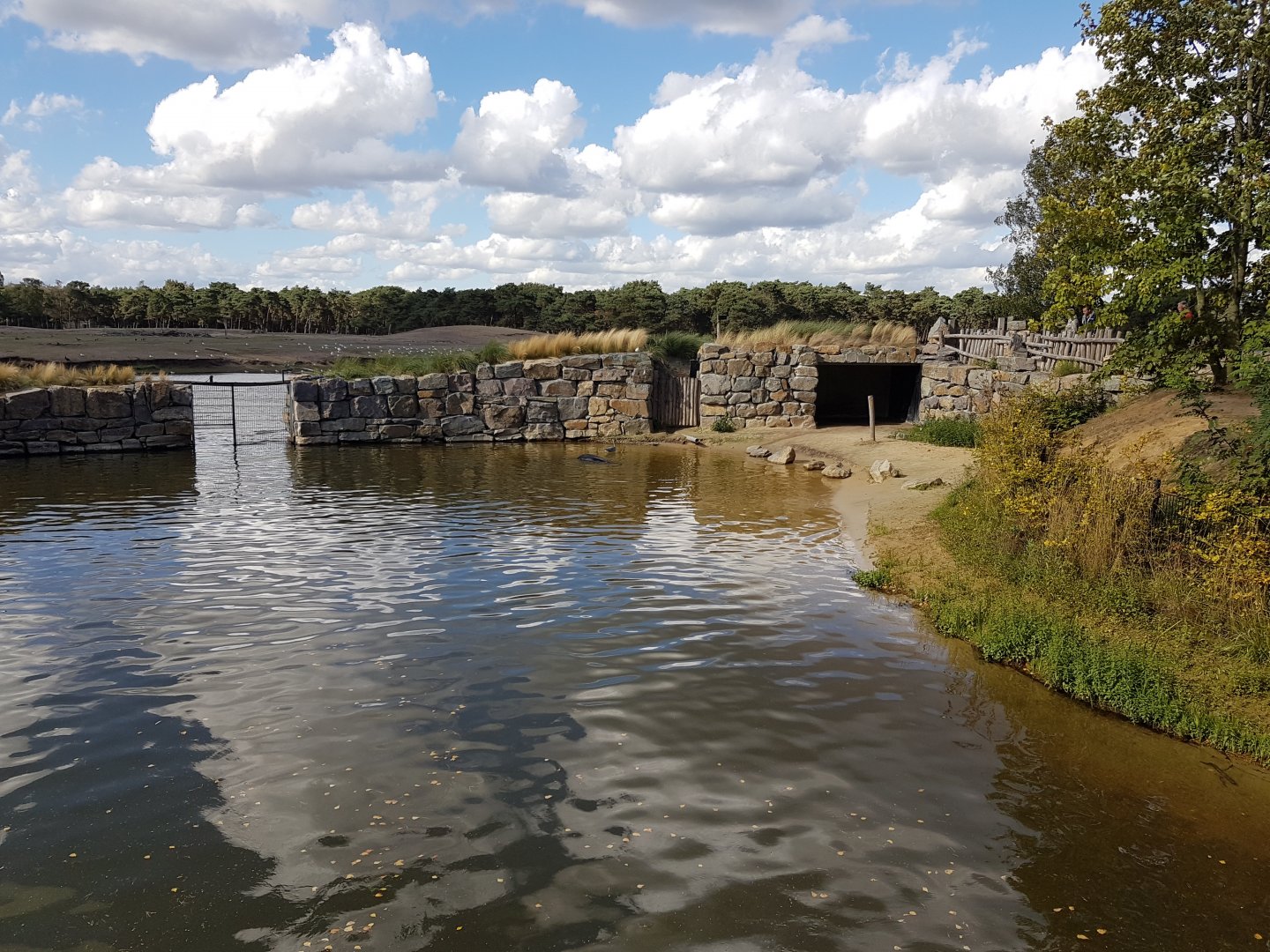 Sea-lion holding-area