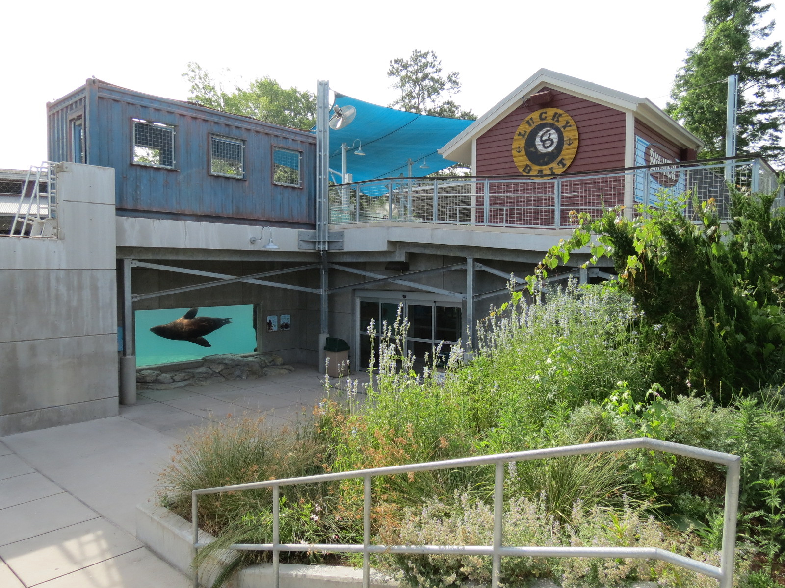 Sea Lion Landing - Overview