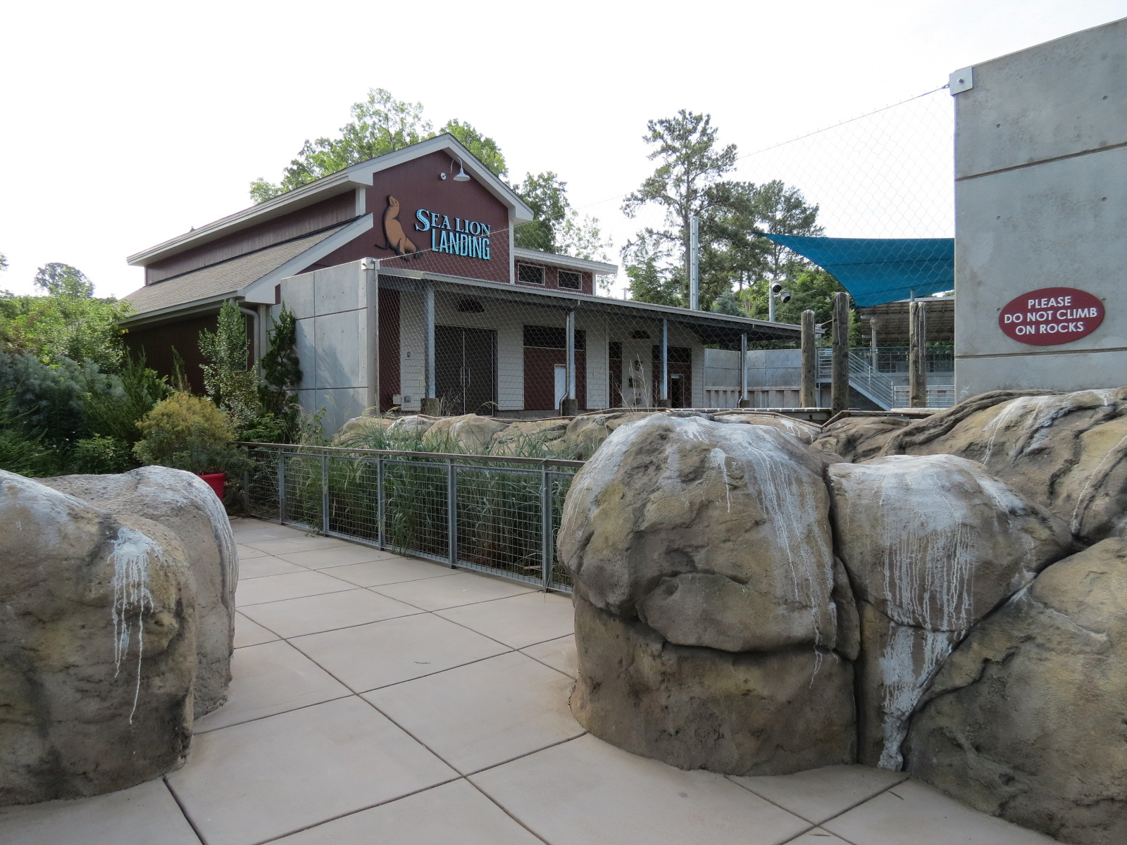 Sea Lion Landing - Surface Viewing Area