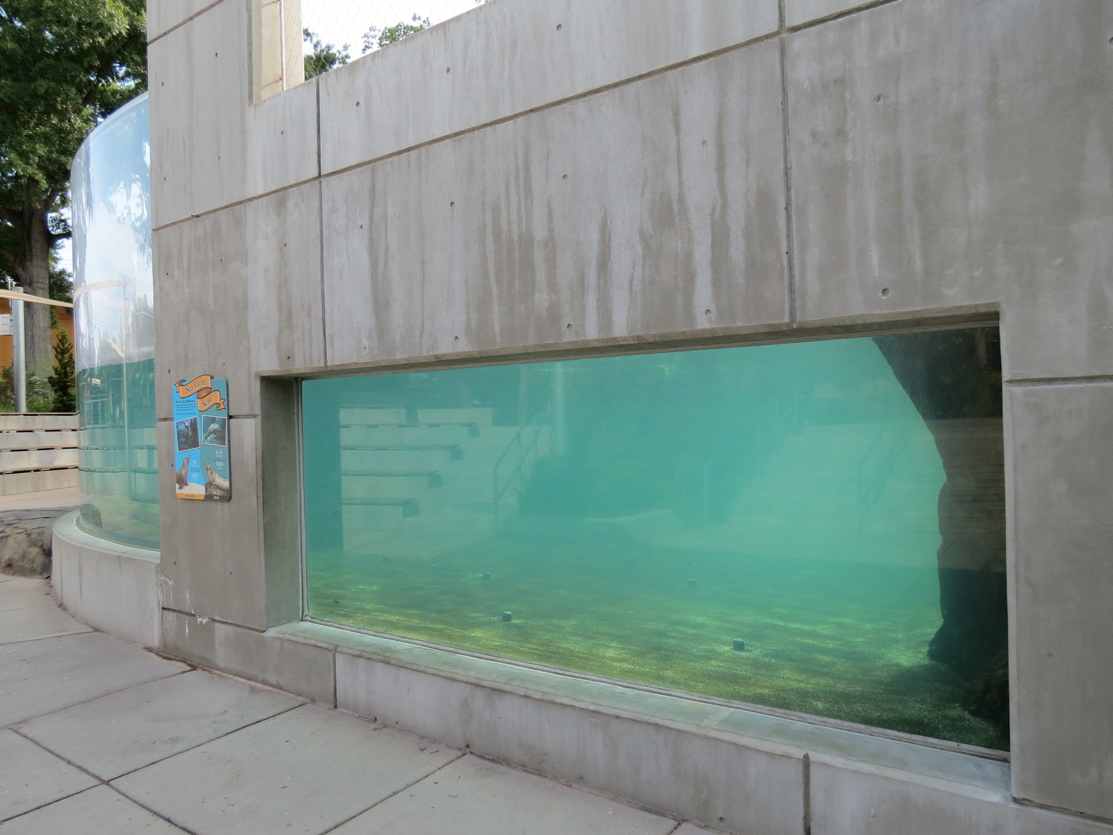 Sea Lion Landing - Underwater Viewing Panel