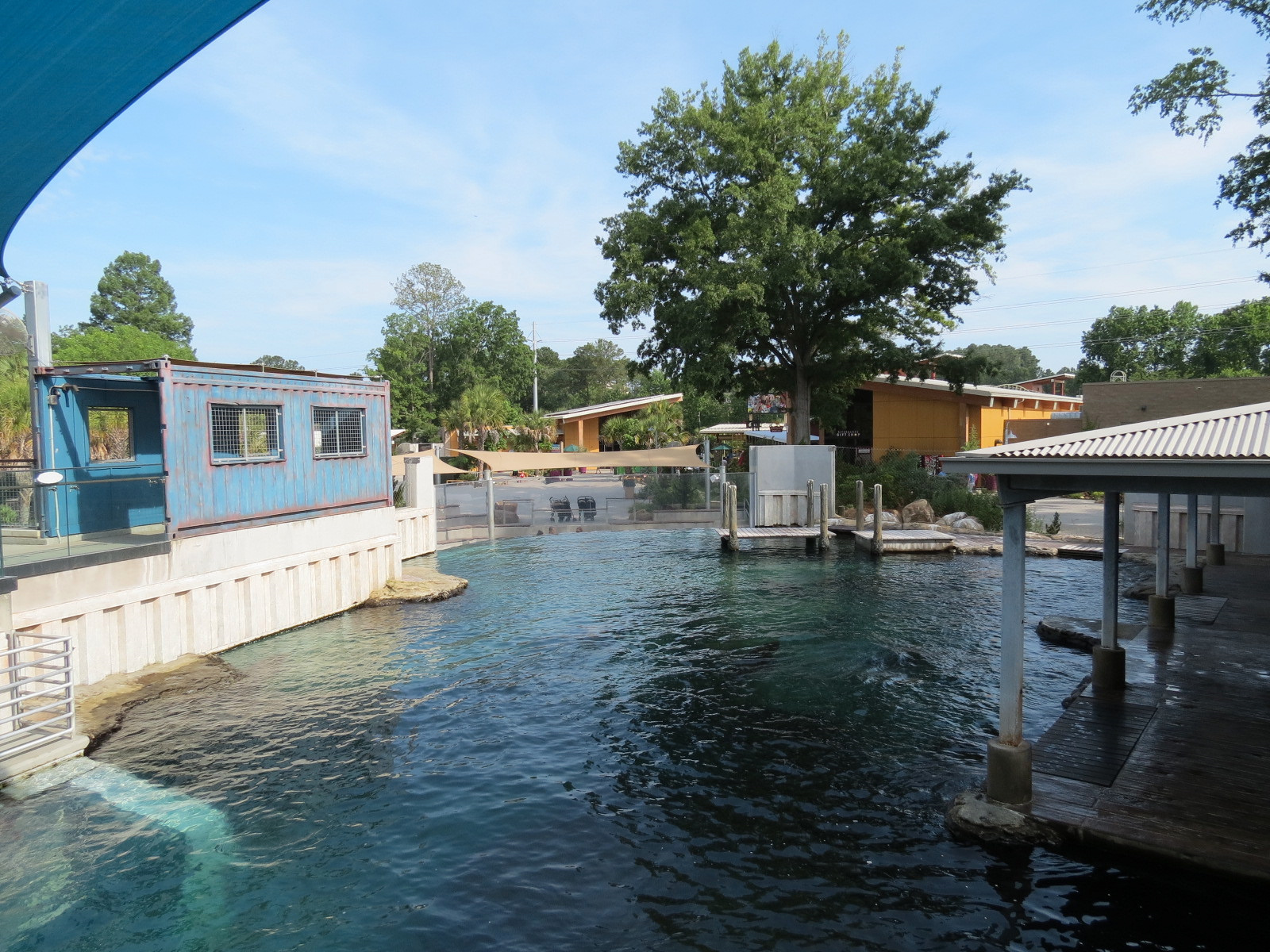 Sea Lion Landing - View from Upper Viewing Deck