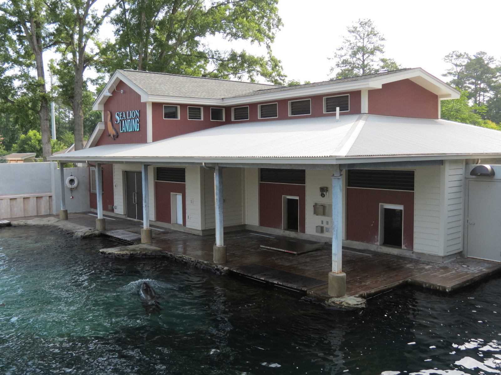 Sea Lion Landing - View from Upper Viewing Deck