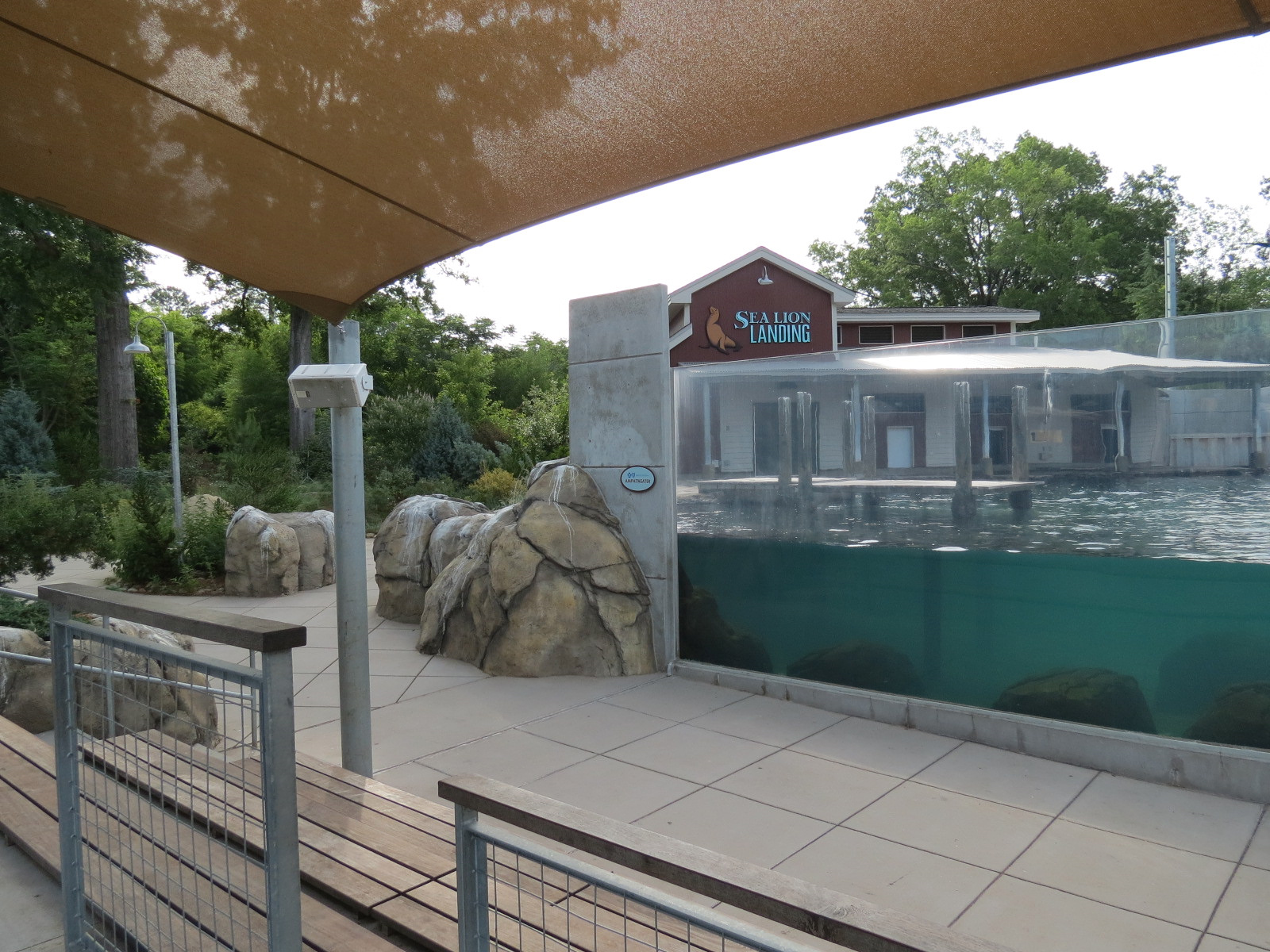 Sea Lion Landing - View from Viewing Amphitheater