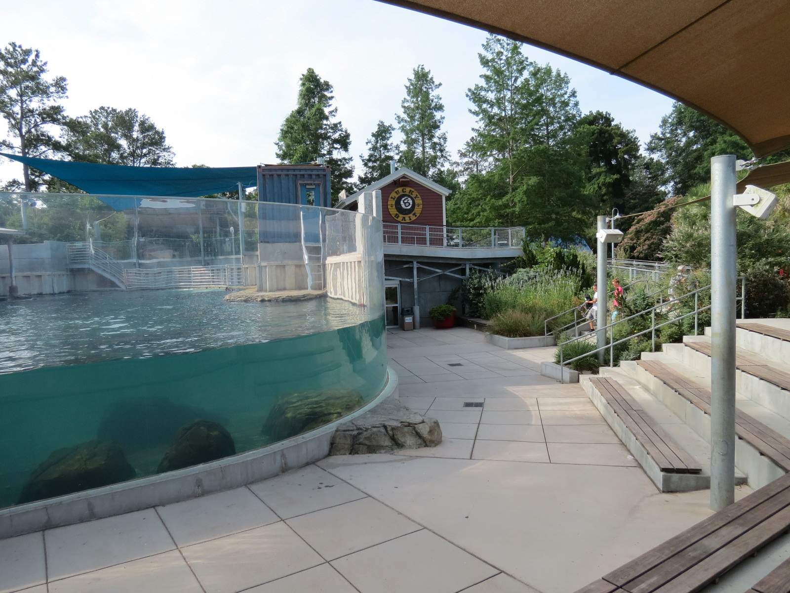 Sea Lion Landing - View from Viewing Amphitheater