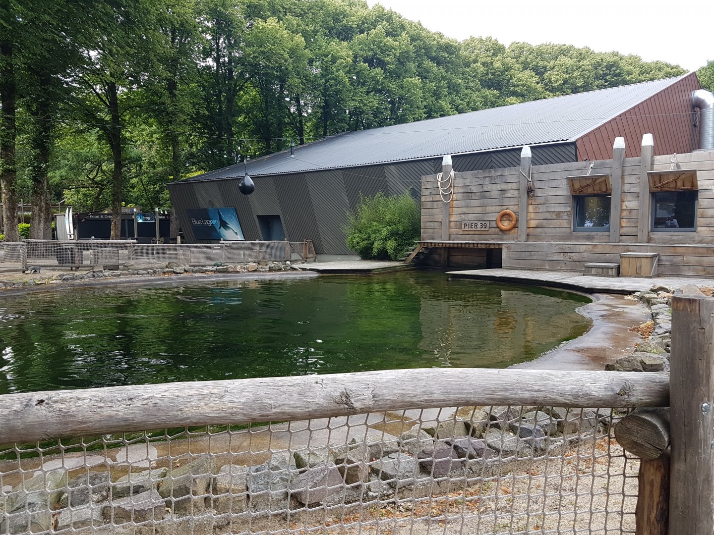 Sea-lion outdoor-enclosure