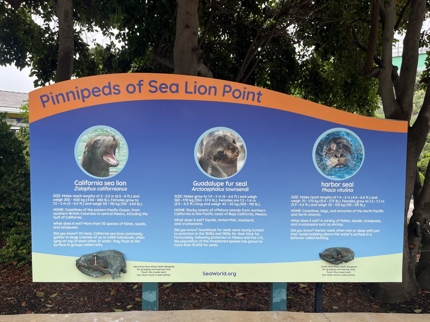 Sea Lion Point Signage