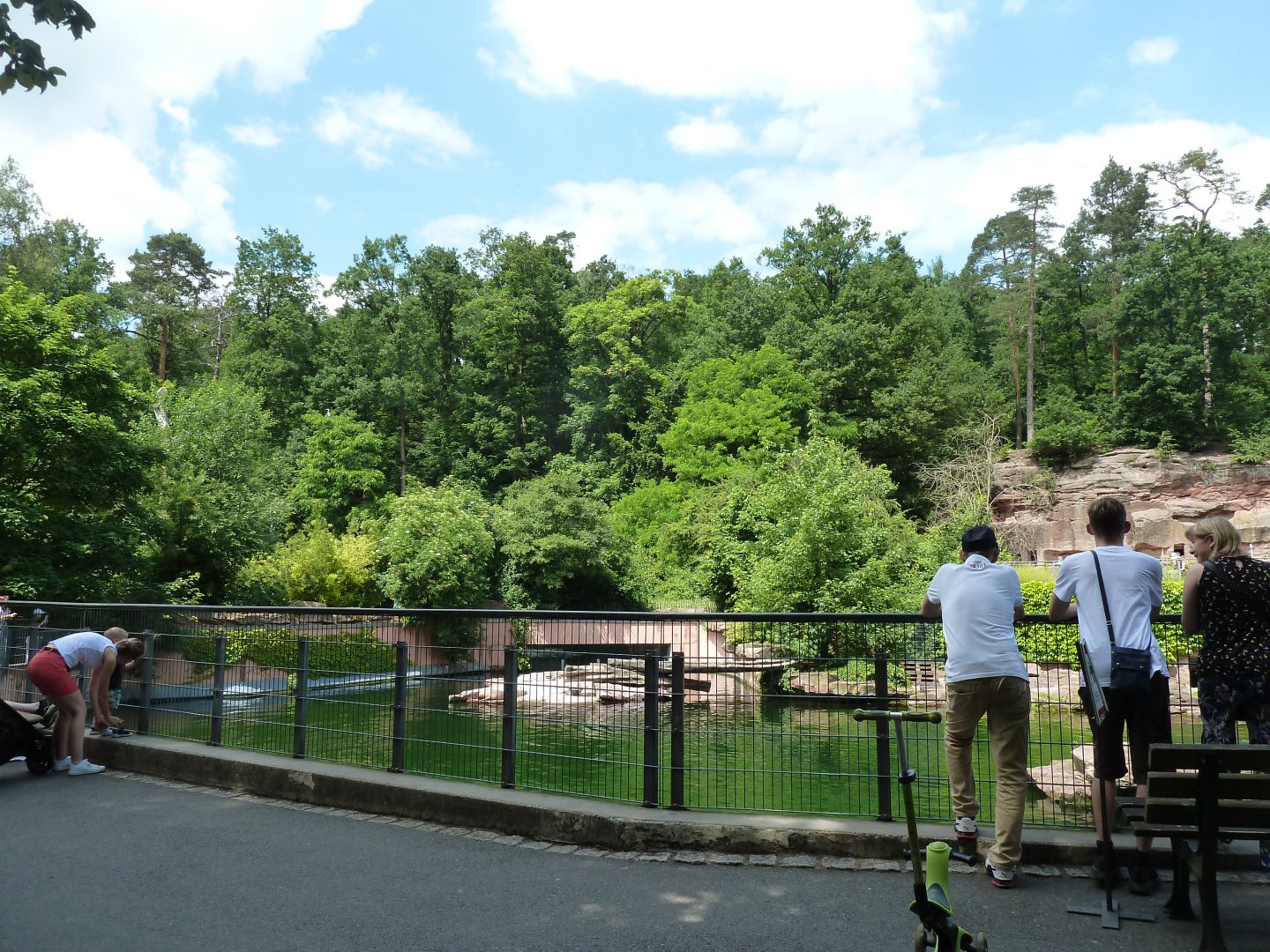 Sea lion pond with underwater section