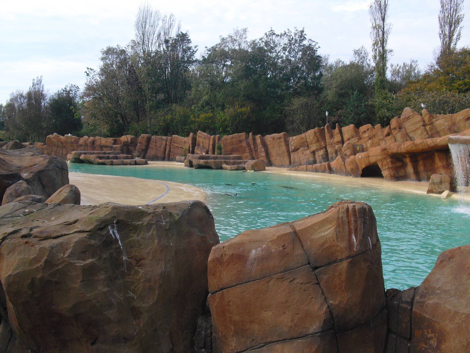 Sea Lion Pool - 01/10/2011