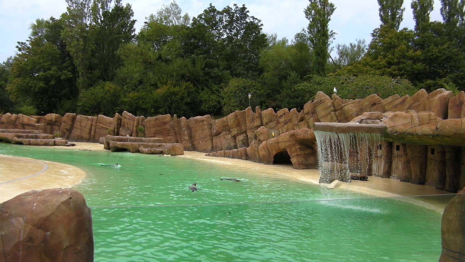 Sea Lion Pool - 26.08.2011