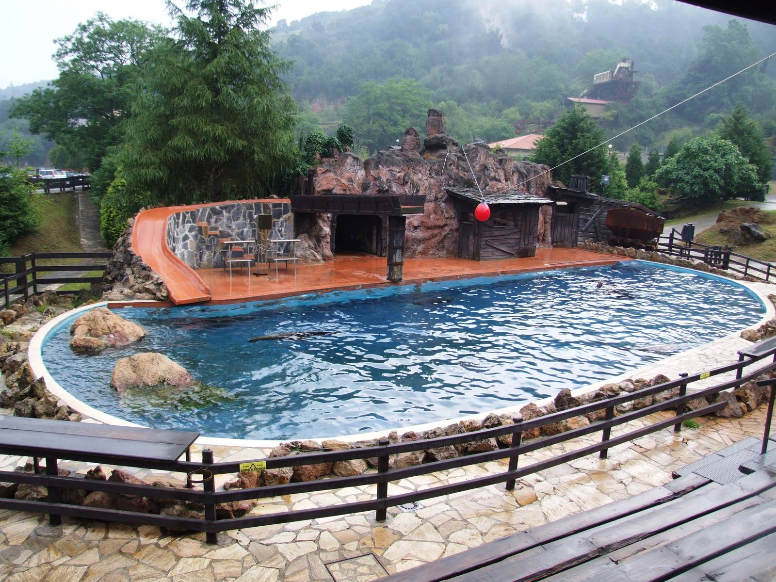 Sea Lion Pool at Cabarceno, 11/06/15
