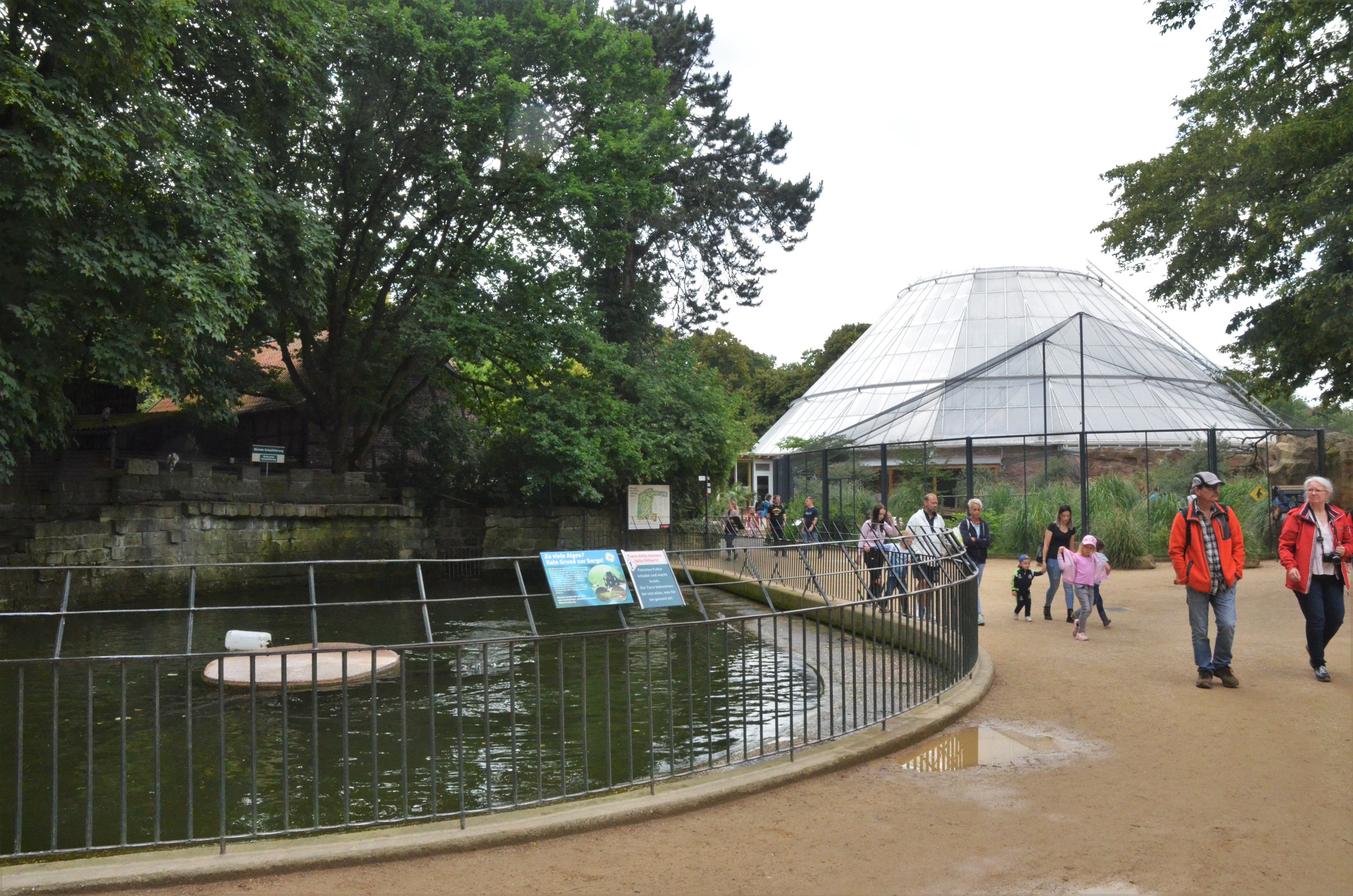 Sea Lion Pool at Krefeld, 15/06/19