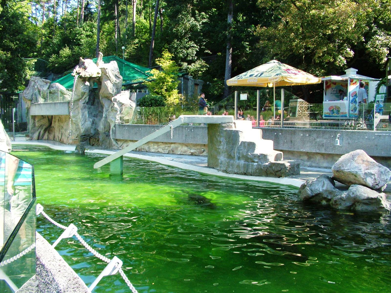 Sea Lion Pool at Liberec, 28/08/12