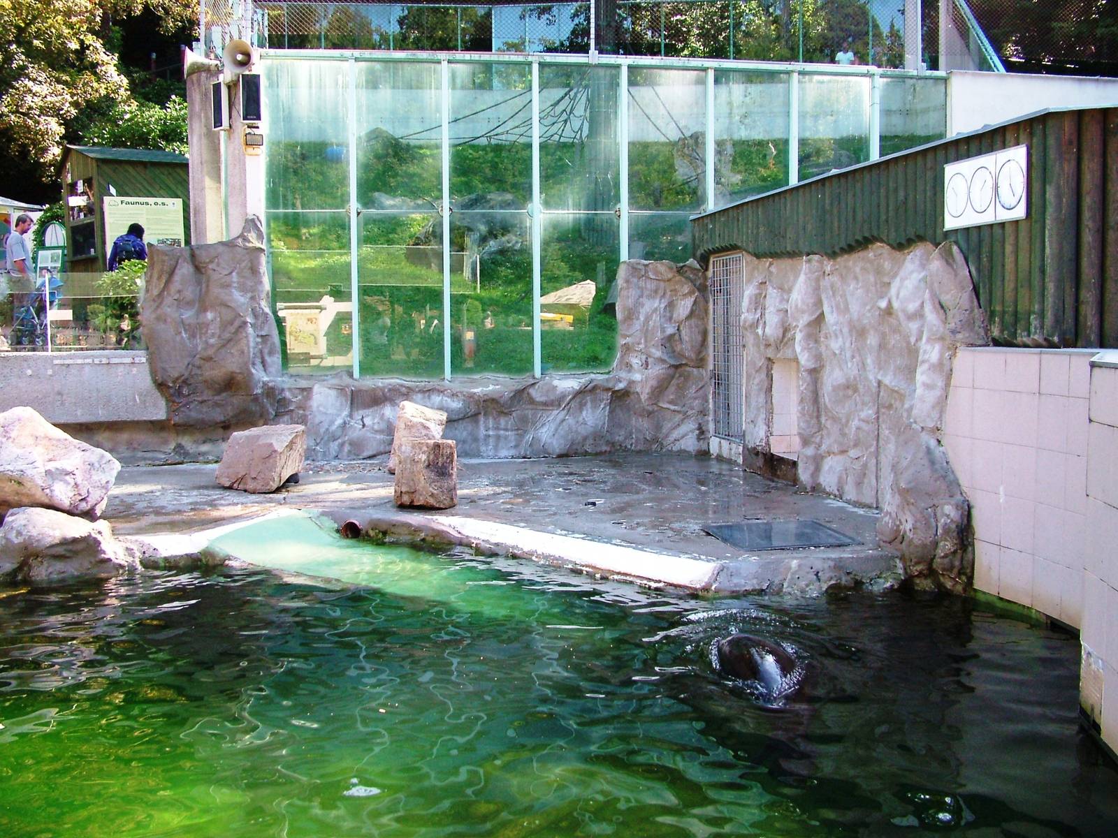 Sea Lion Pool at Liberec, 28/08/12
