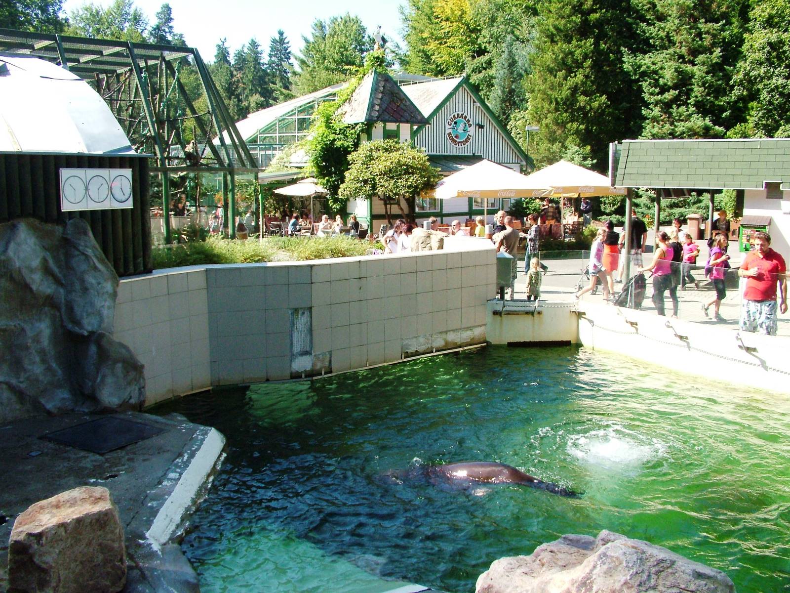 Sea Lion Pool at Liberec, 28/08/12