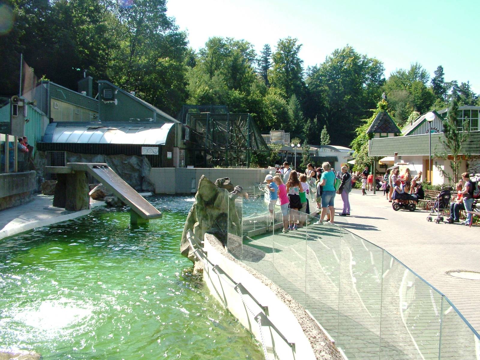 Sea Lion Pool at Liberec, 28/08/12