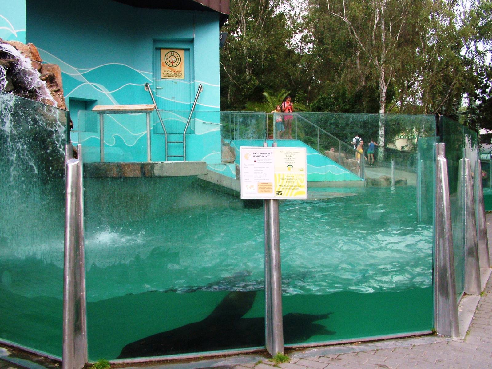 Sea Lion Pool at Usti, 29/08/12
