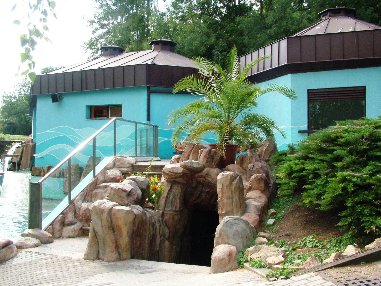 Sea Lion Pool at Usti, 29/08/12