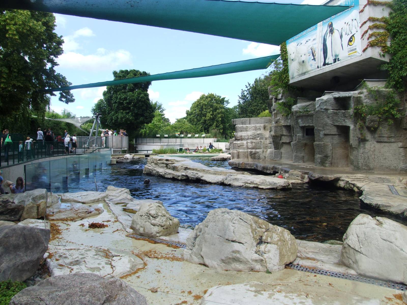 Sea Lion Pool at Vienna, 14/06/13