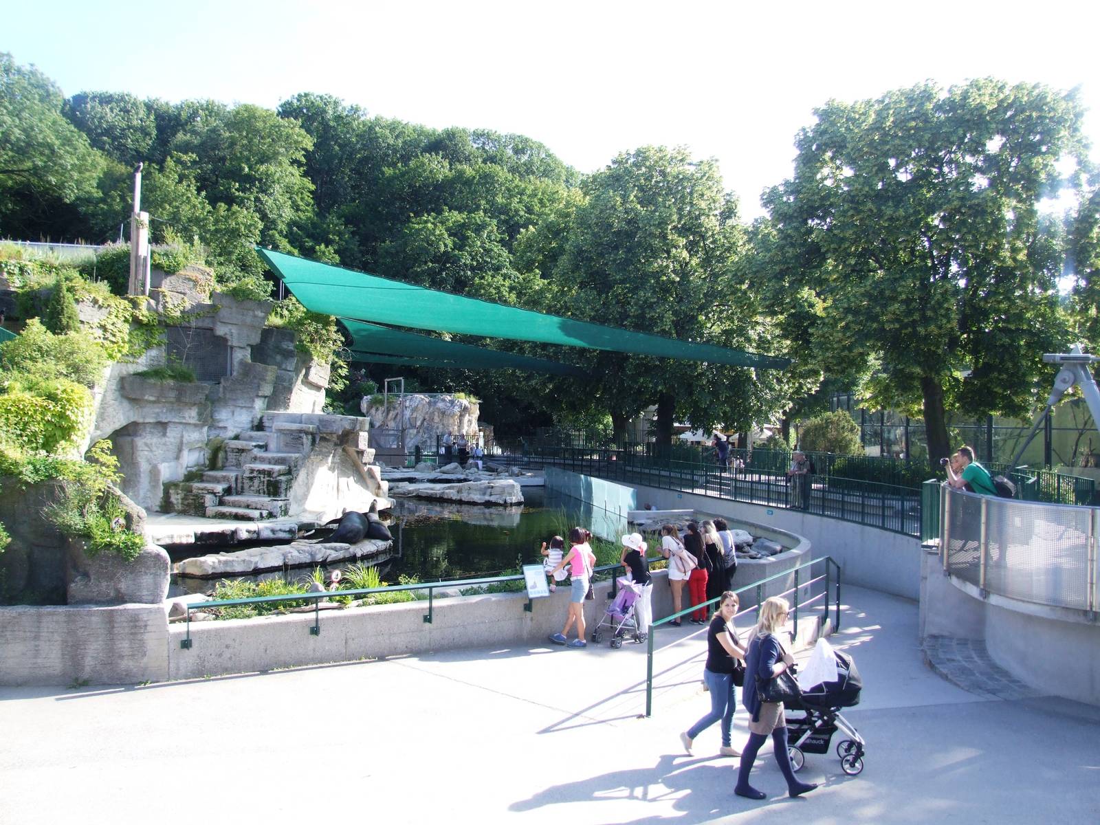 Sea Lion Pool at Vienna, 14/06/13