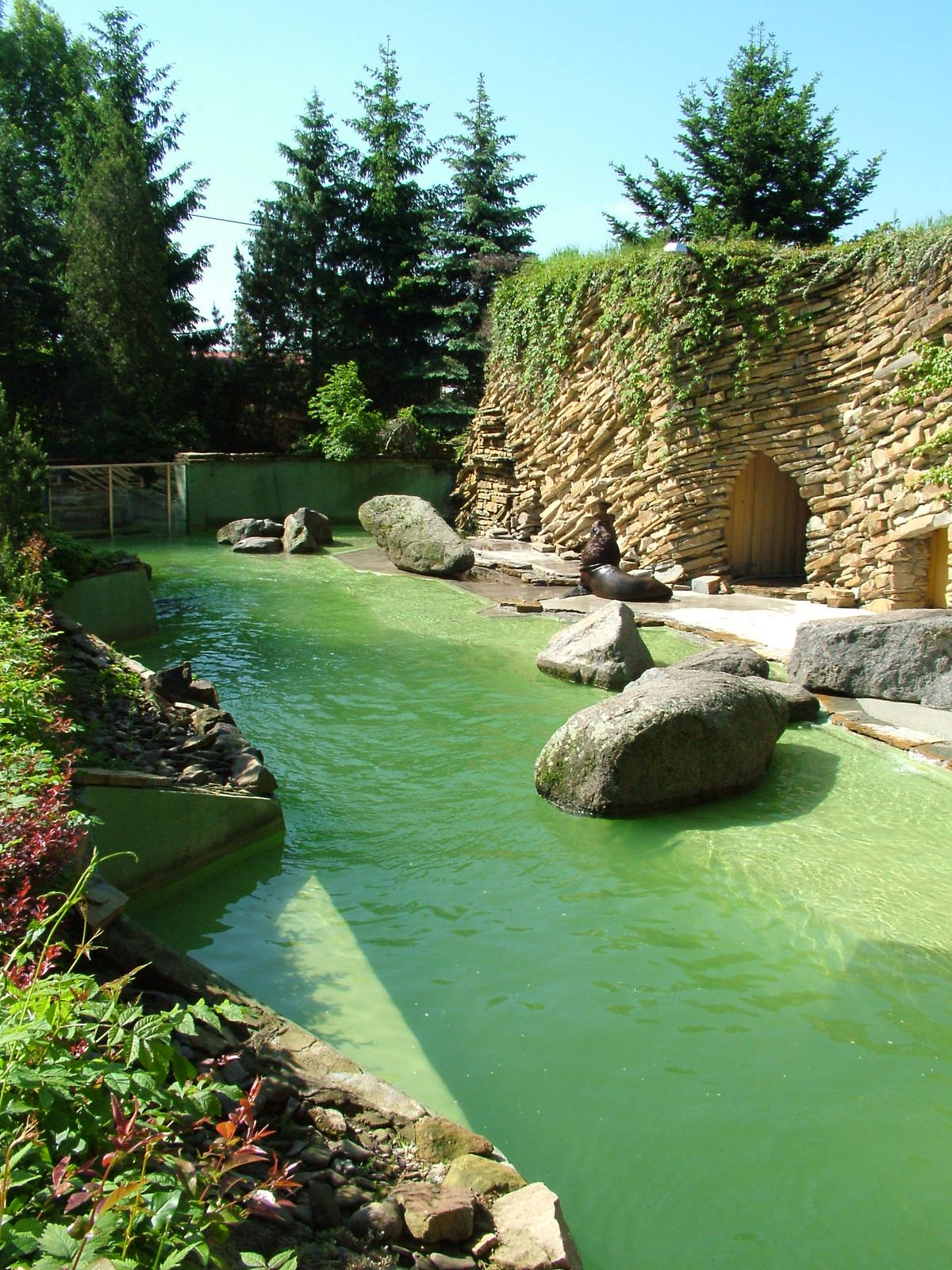 Sea Lion pool at Zlin, 28/05/10