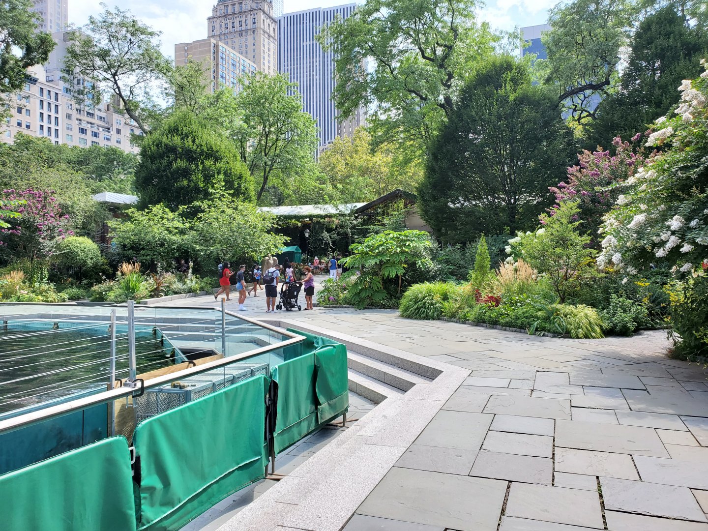 Sea Lion Pool/General View - August 2021