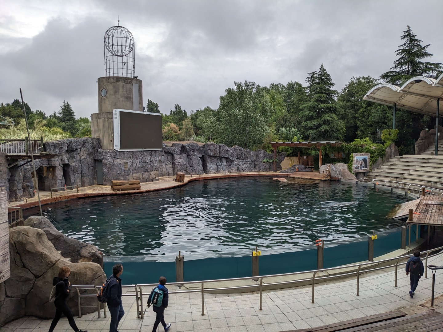 Sea lion Pool/Show Arena