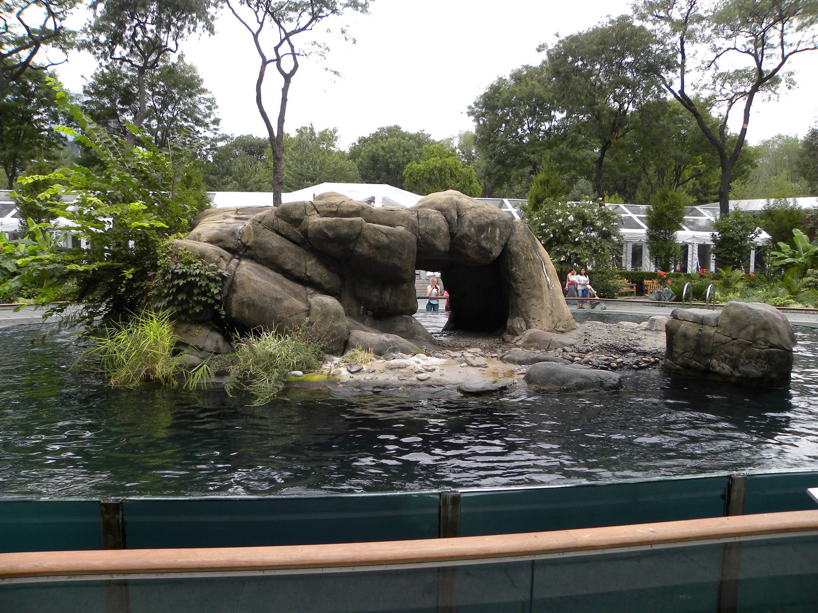 Sea Lion Pool