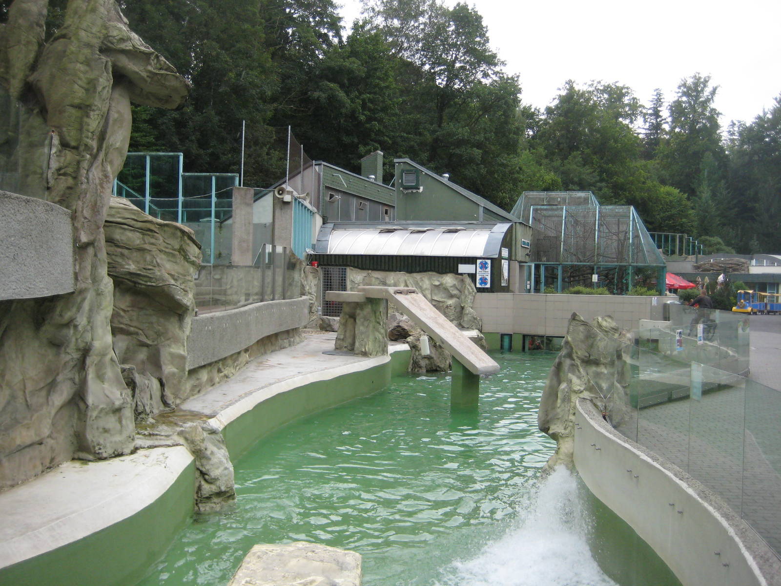 Sea Lion pool