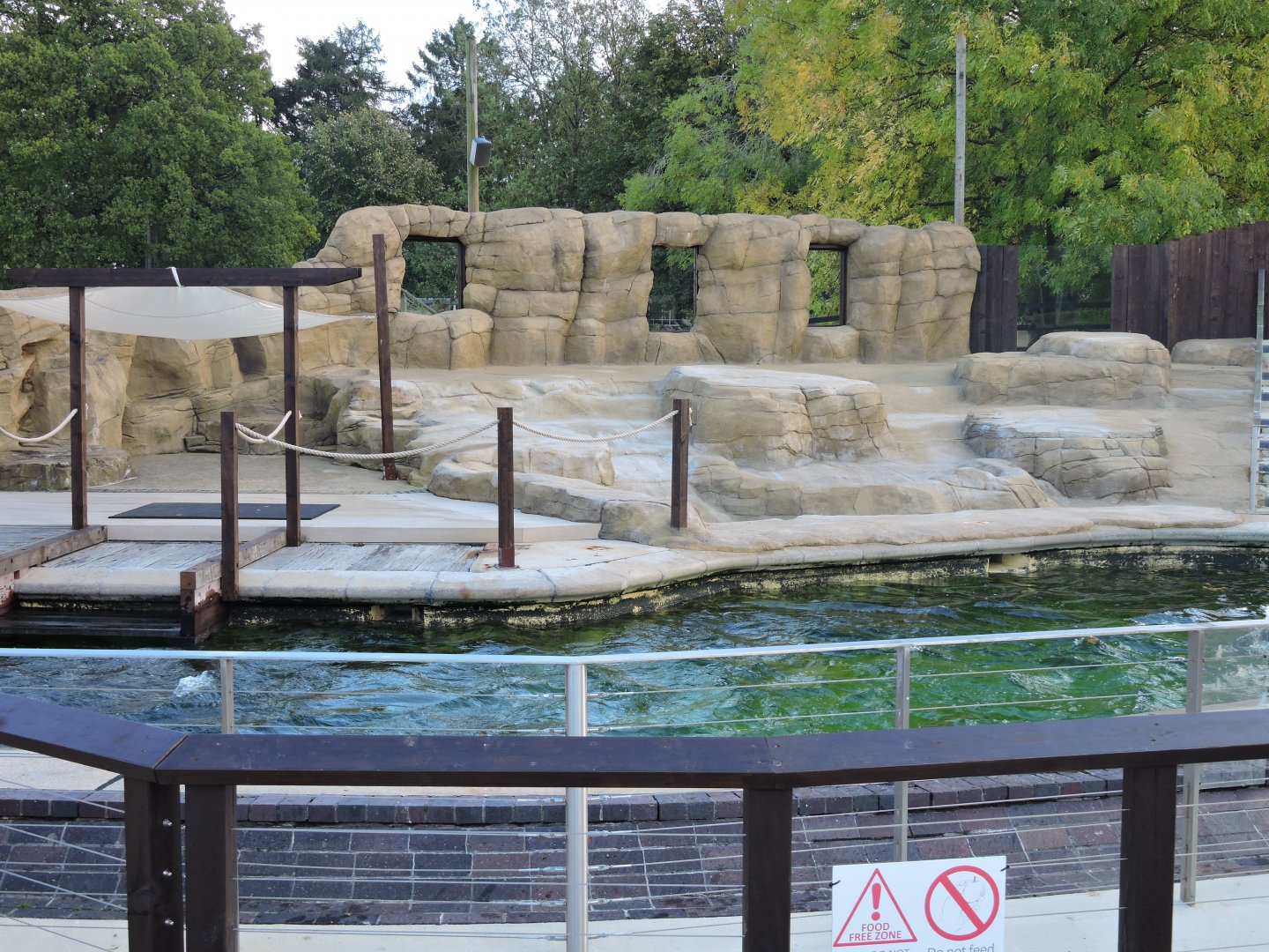Sea Lion Pool