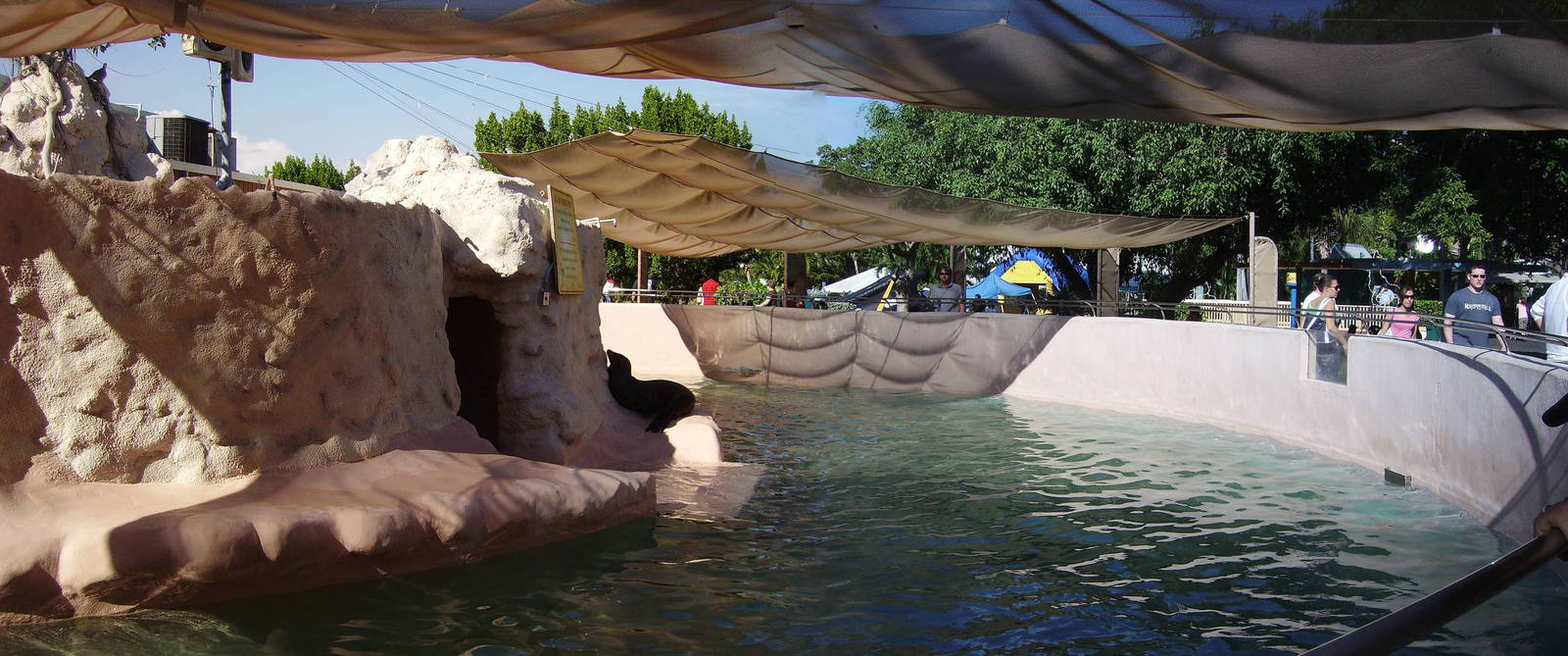 Sea Lion Pool