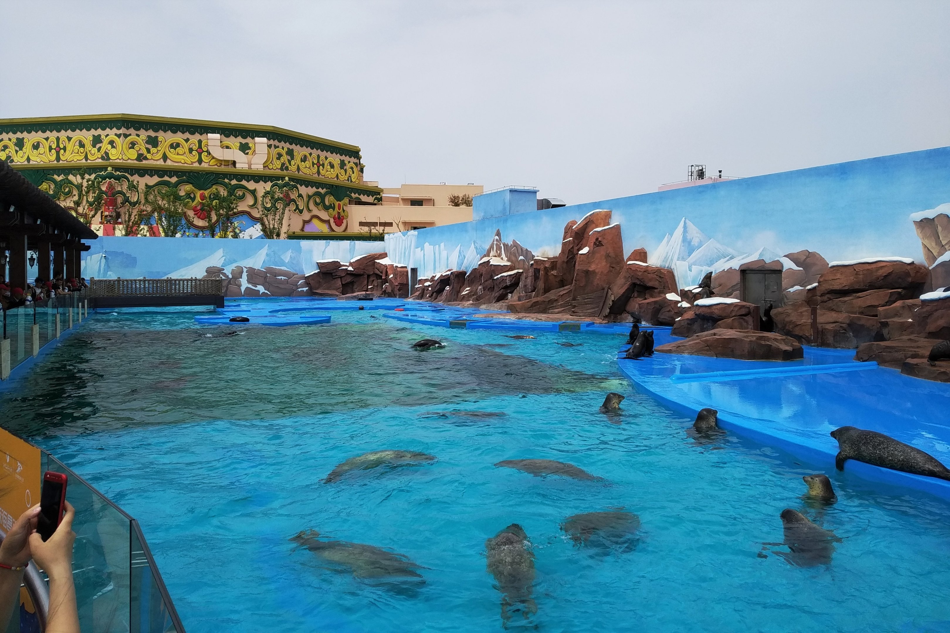 Sea Lion Pool