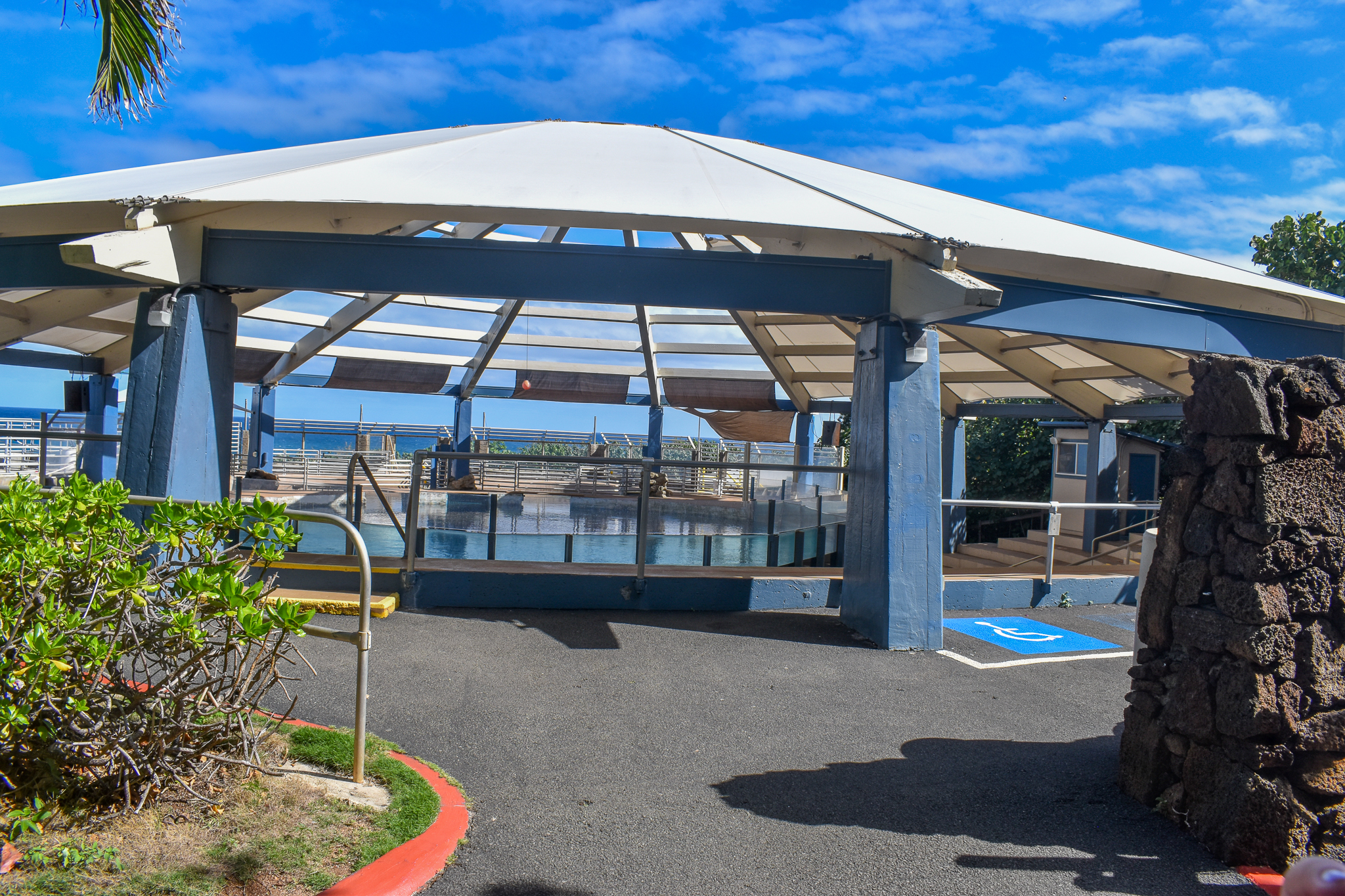 Sea Lion Presentation Area