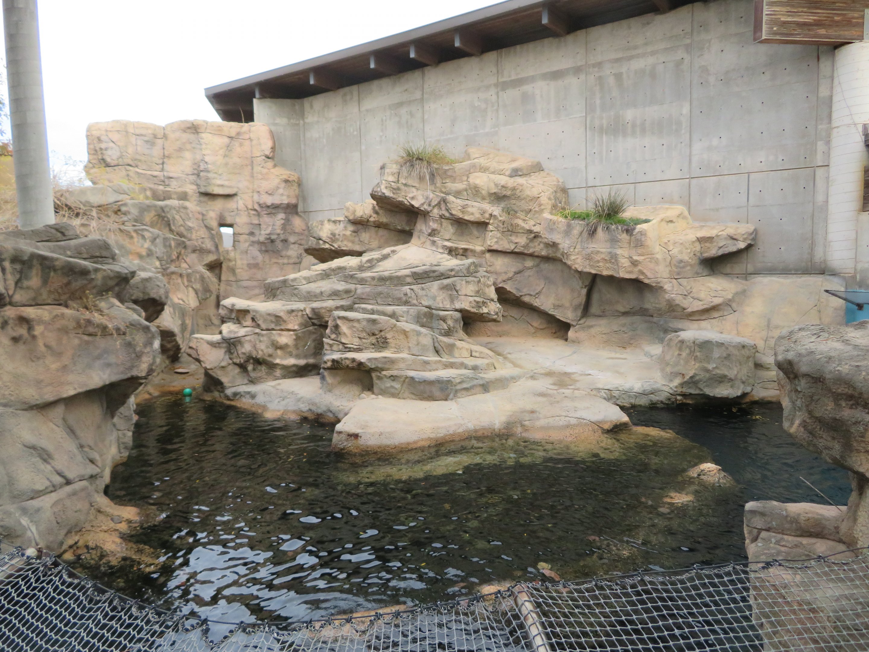 Sea Lion/Seal Exhibit