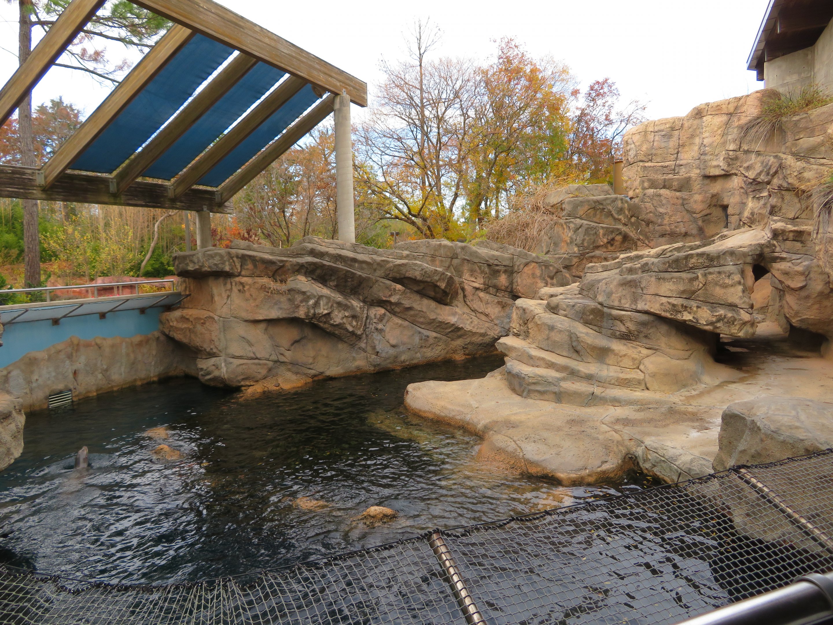 Sea Lion/Seal Exhibit
