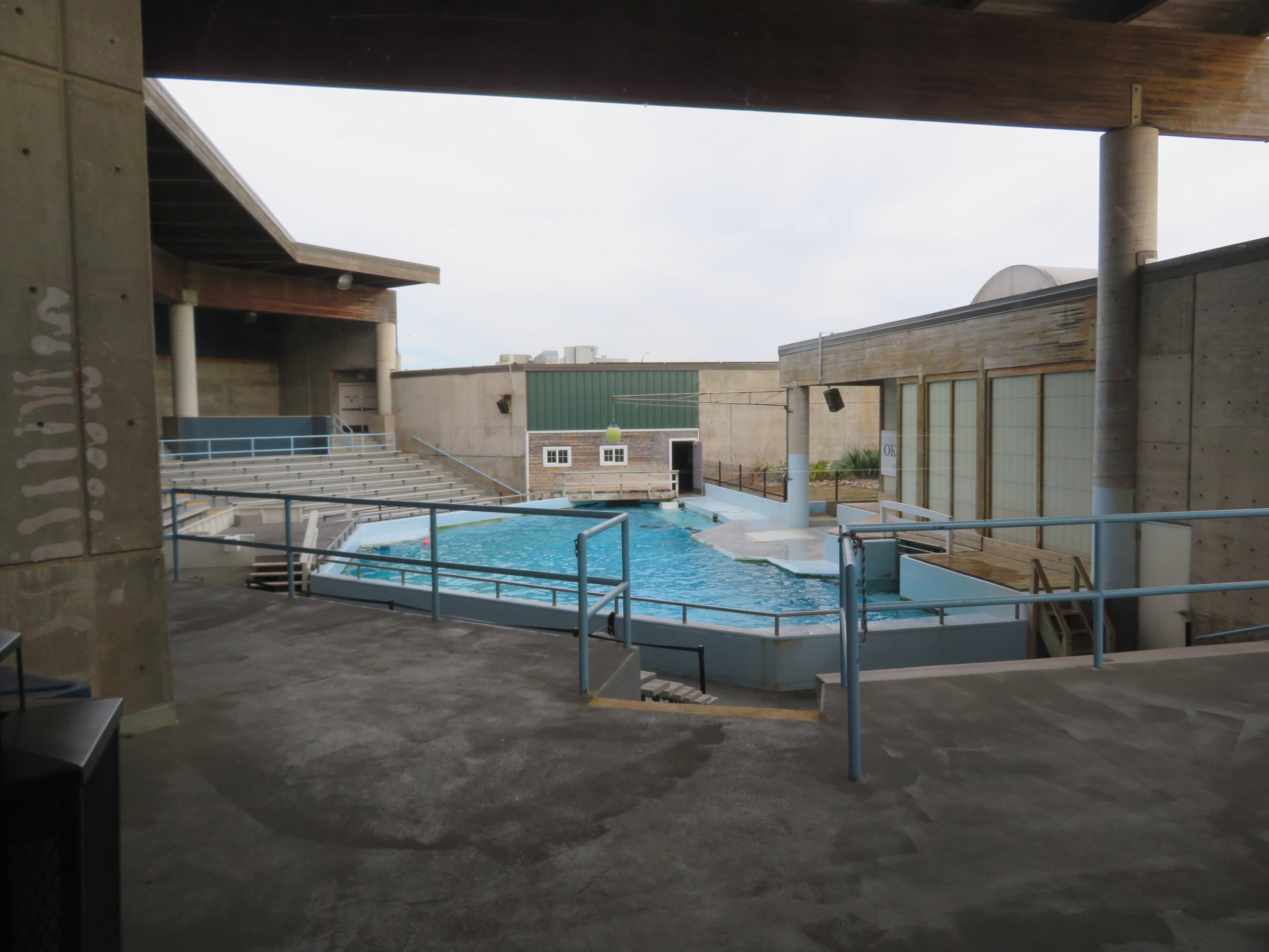 Sea Lion/Seal Presentation Area
