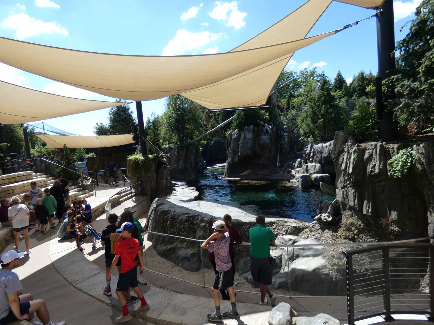 Sea Lion Shores - Jun. 2021