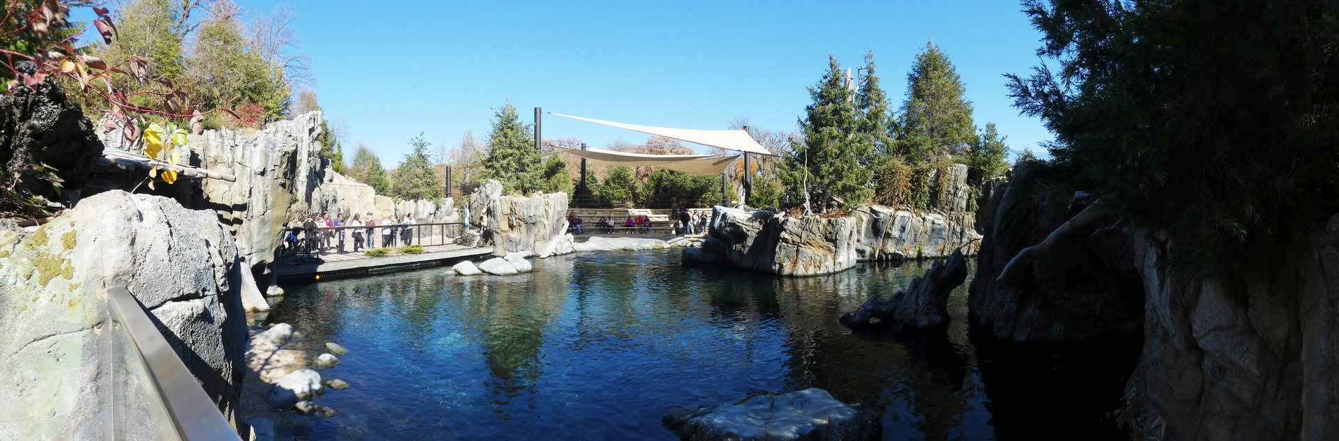 Sea Lion Shores - Oct. 2022