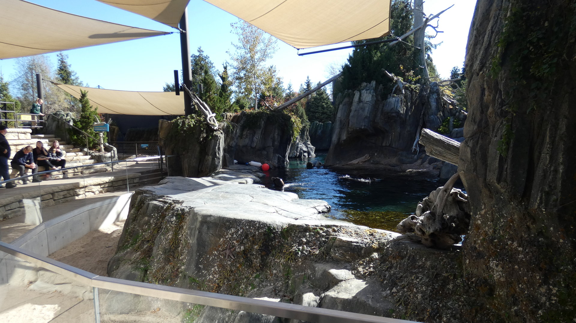 Sea Lion Shores - Oct. 2022