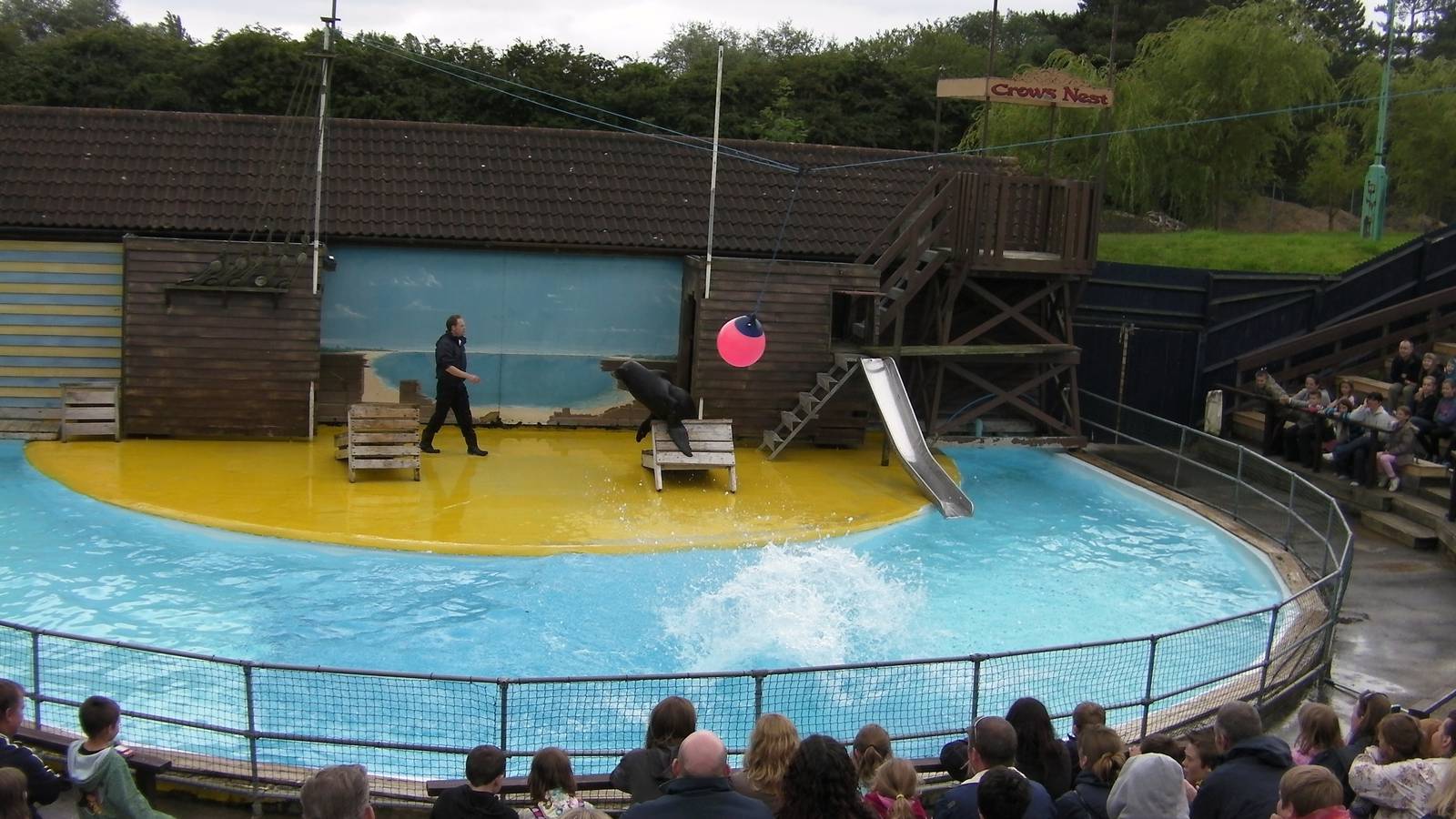 Sea Lion Show  -  26.07.2011