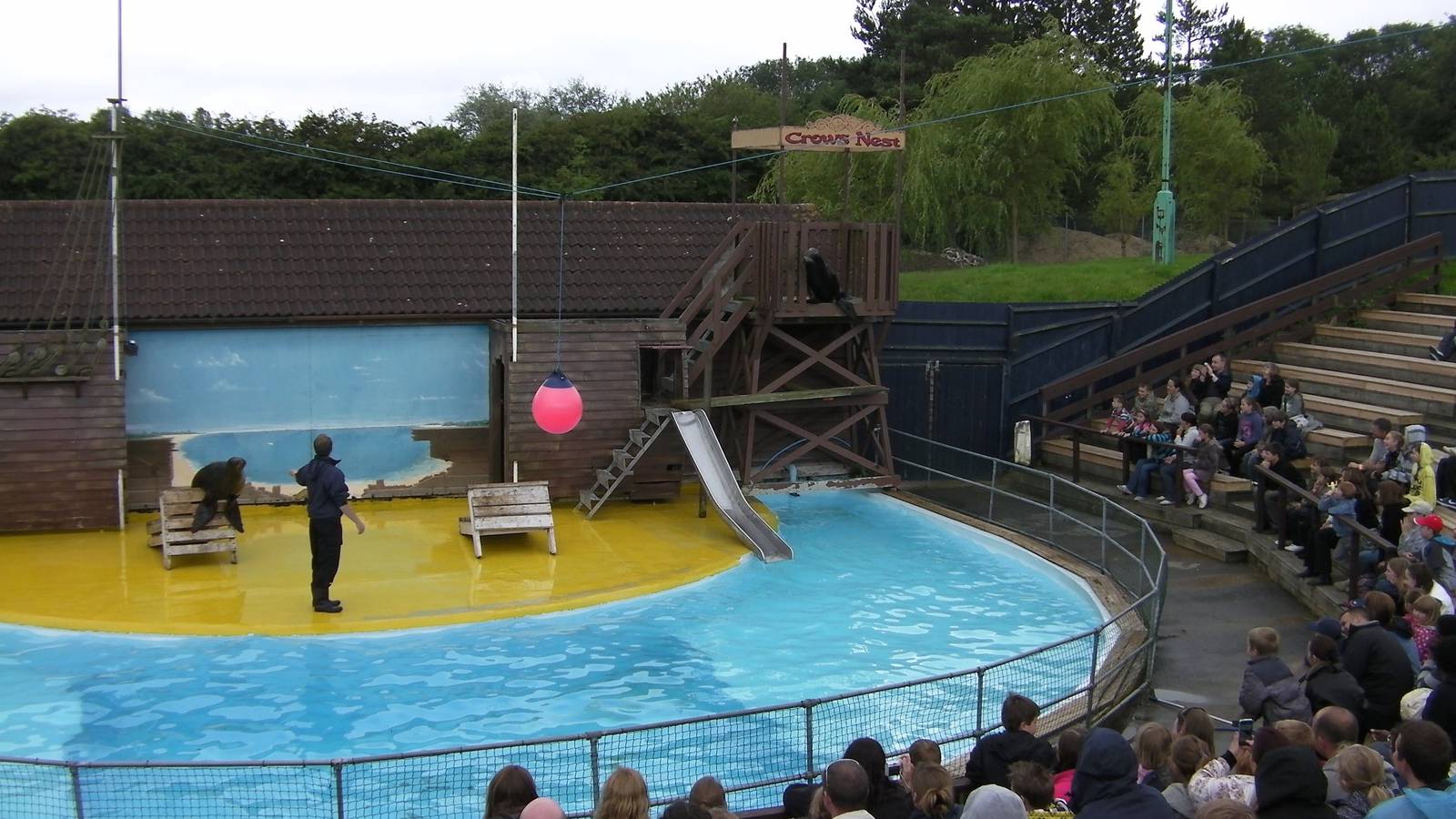Sea Lion Show  -  26.07.2011
