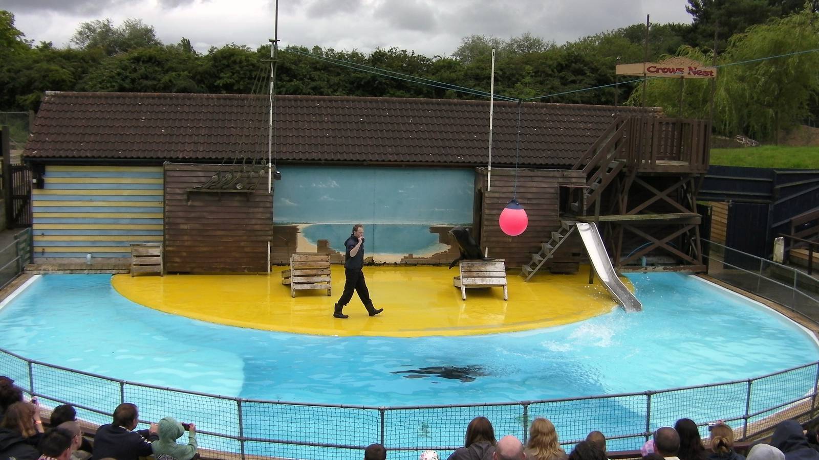 Sea Lion Show  -  26.07.2011